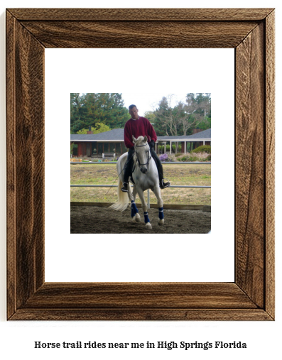 horse trail rides near me in High Springs, Florida